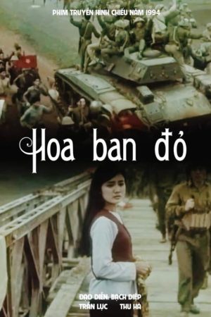 Hoa Ban Đỏ